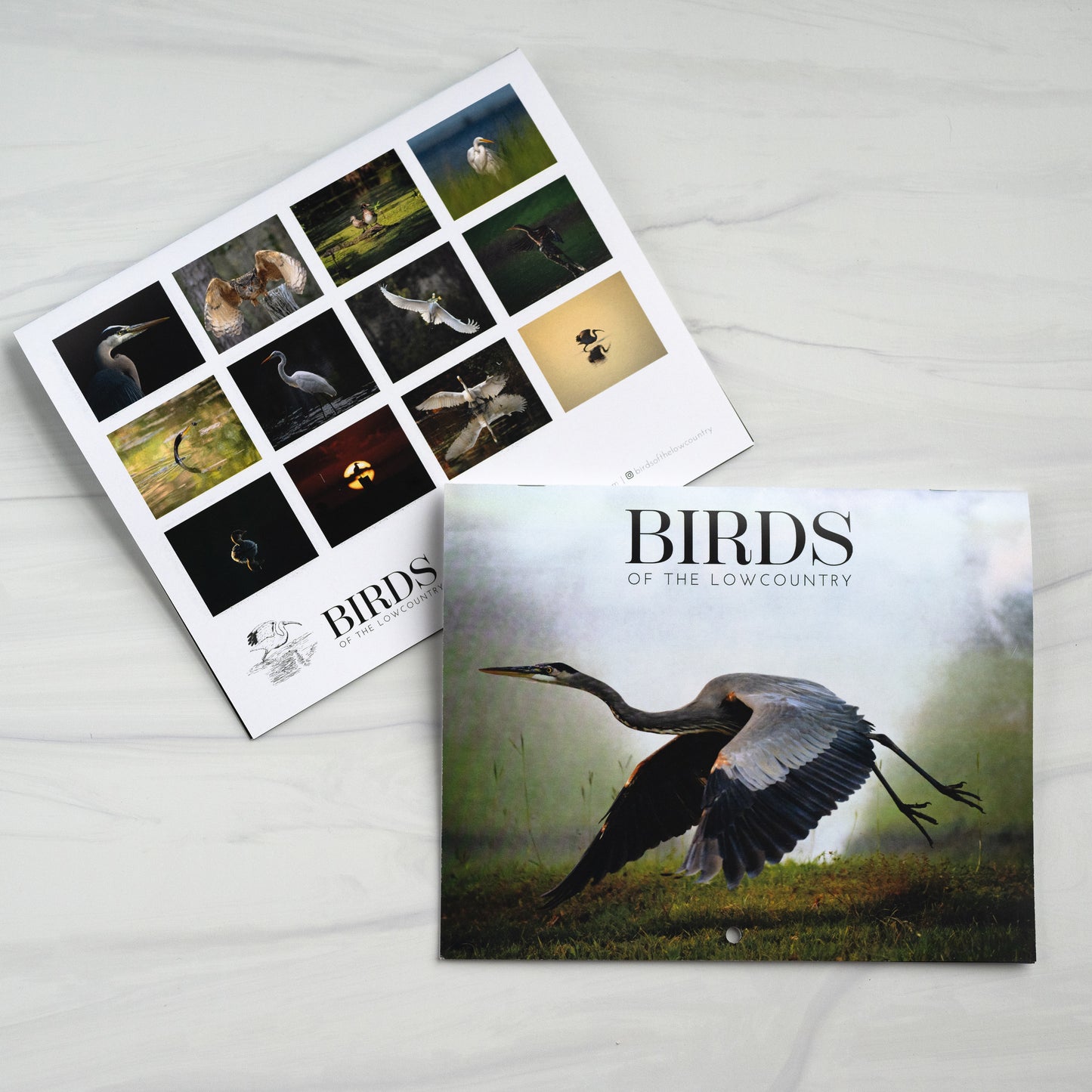 Birds of the Lowcountry 2025 Calendar