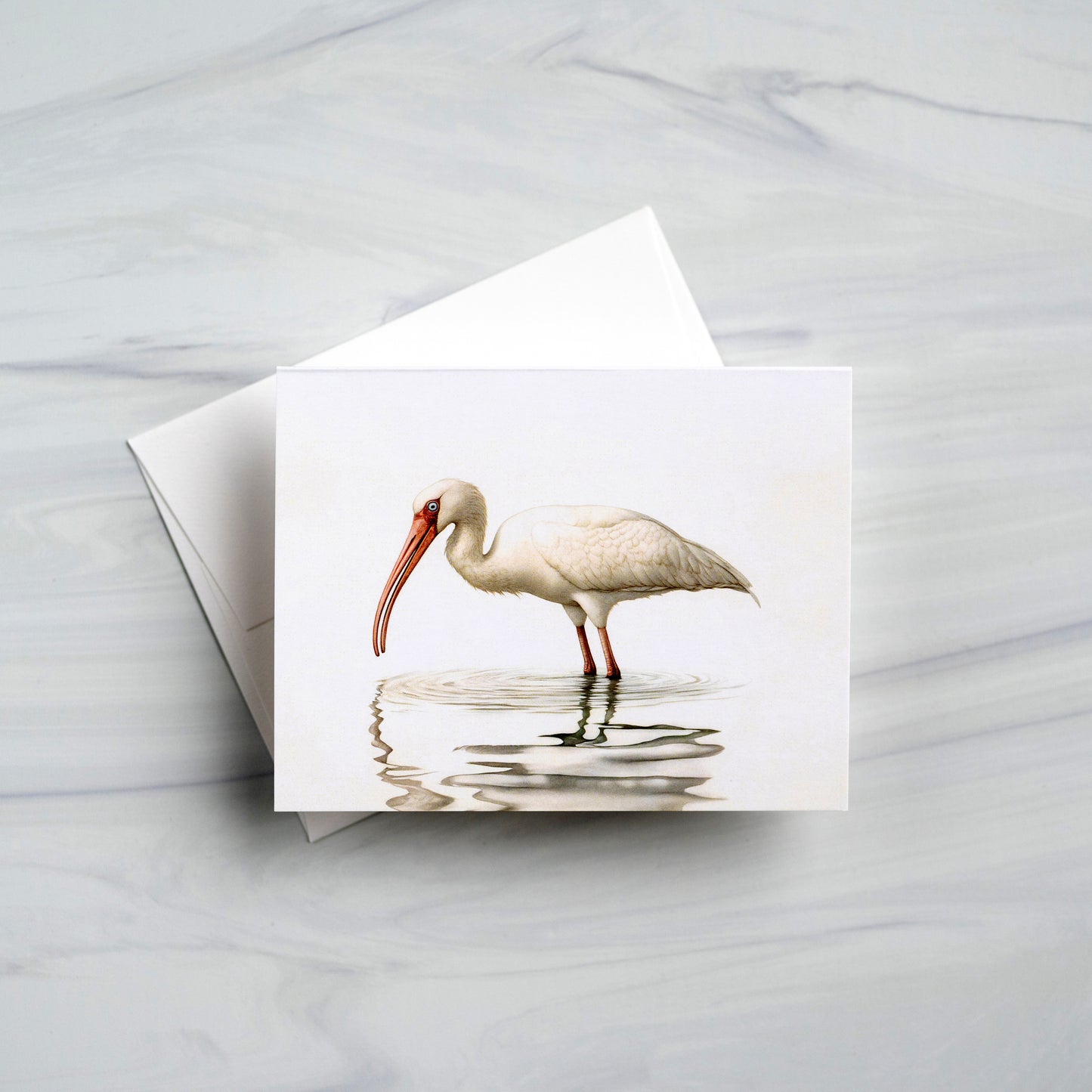 Greeting Cards: 12 Pack